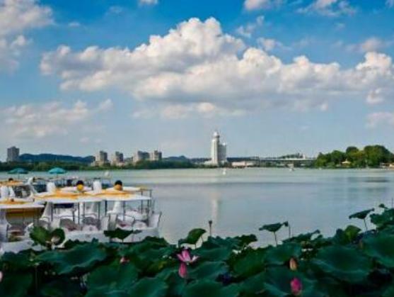 �Ͼ����M�ֺ���ľ��c�������ɽˮ���⡢���ӏR�Ļ��Շ����