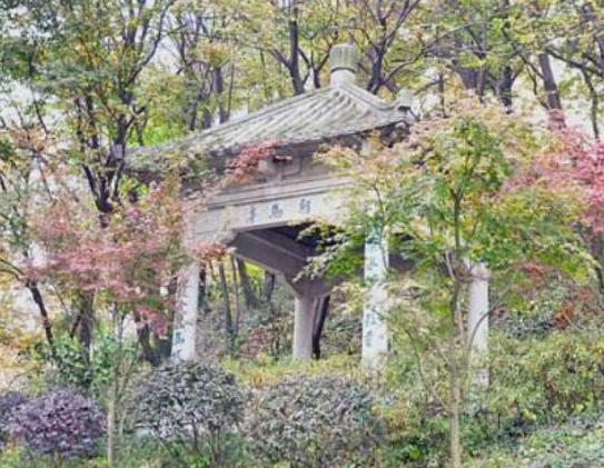 �Ͼ����M�ֺ���ľ��c�������ɽˮ���������ӏR�Ļ��Շ����