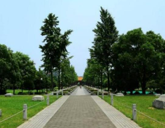 �Ͼ����M�ֺ���ľ��c�������ɽˮ���������ӏR�Ļ��Շ����