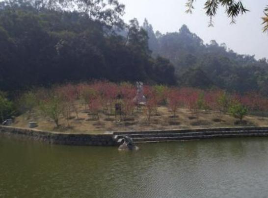 汕頭好玩的地方排行榜,礐石風景名勝區(qū)風景絕美、南澳島值得參觀 汕頭好玩的地方排行榜,礐石風景名勝區(qū)風景絕美、南澳島值得參觀