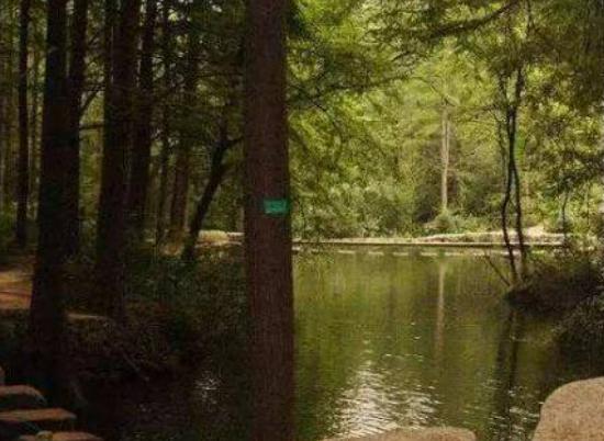 ���(y��ng)����ĵط��������u��ɽ�L(f��ng)���^(q��)ֲ���S�������(y��ng)�`ɽ��?k��)o��Ȼ