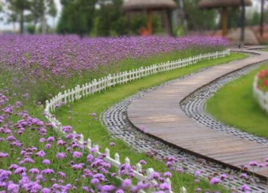 ��������ĵط����а񣬄����u������λ��Ҫ���������@�������Ͷ���