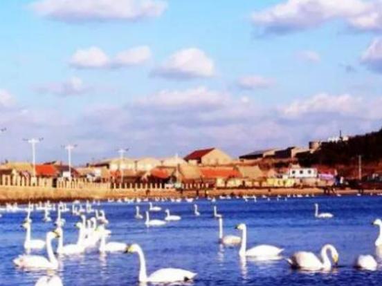 ��������ĵط����а񣬄����u������λ��Ҫ���������@�������Ͷ���