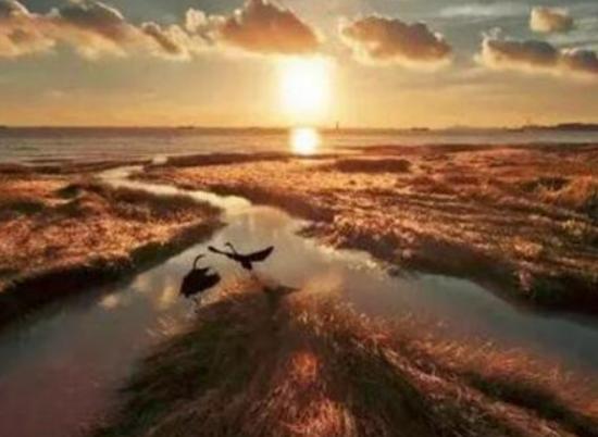 上海好玩又便宜的地方排名,上海博物館陶冶情操、多倫路文化街氣息濃厚 上海好玩又便宜的地方排名,上海博物館陶冶情操、多倫路文化街氣息濃厚