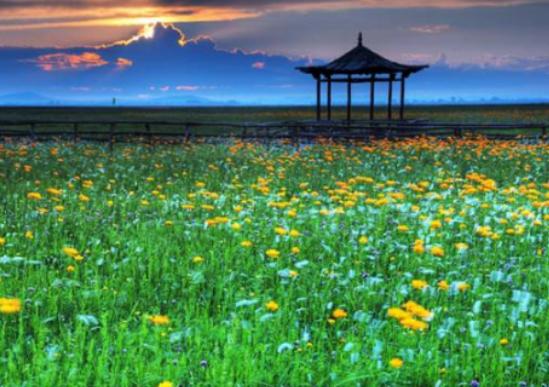 �Ї�����ʮ�󻨺�����������޹�²ݻ����������������׌����_�۽�