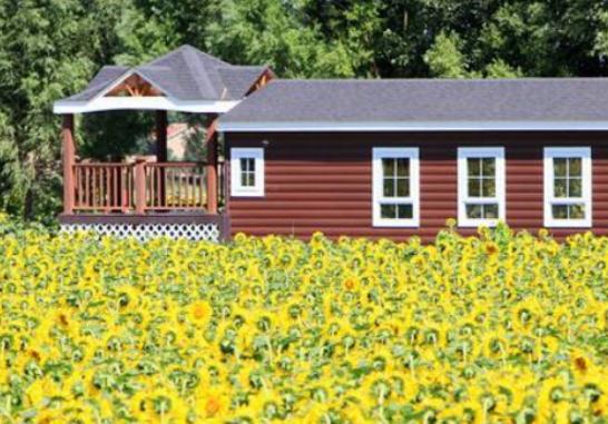 �Ї�����ʮ�󻨺�����������޹�²ݻ����������������׌����_�۽�