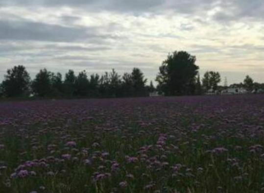 �h�������ĵط��������h��޹�²��f�@�ԃr�ȸߡ�������^�rֵ��