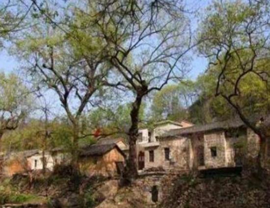 ,信陽郝堂村環(huán)境優(yōu)美、平頂山臨灃寨歷史底蘊(yùn)濃厚 ,信陽郝堂村環(huán)境優(yōu)美、平頂山臨灃寨歷史底蘊(yùn)濃厚