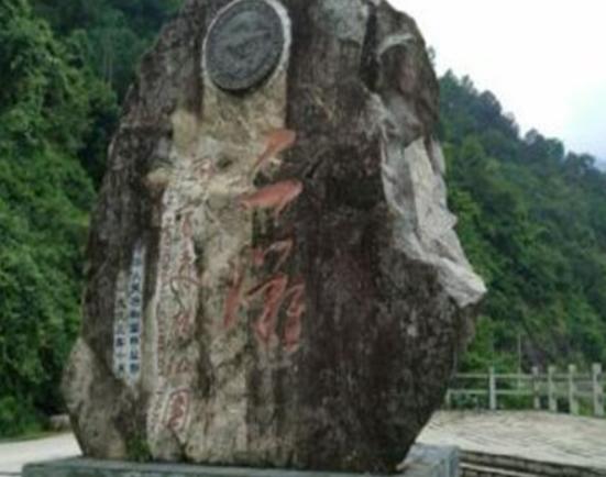 ��֦�������ĵط����]����������ɭ�ֹ��@������������Դ�L���^�܃���