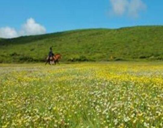 攀枝花最好玩的地方推薦,二灘國家森林公園、海塔世外桃源風景區很優美 攀枝花最好玩的地方推薦,二灘國家森林公園、海塔世外桃源風景區很優美