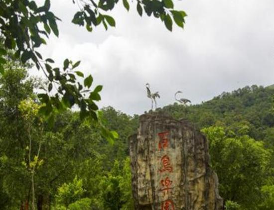 防城港最好玩的地方排名,江山半島景點(diǎn)集中、白浪灘美食豐富 防城港最好玩的地方排名,江山半島景點(diǎn)集中、白浪灘美食豐富
