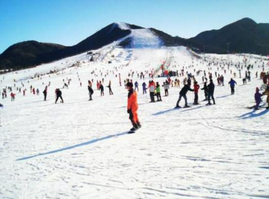 ���l(xi��ng)��Hʮ���ȥ֮������ԭ������ͨ���������o(j��)�g��(l��)�@����(zh��n)����