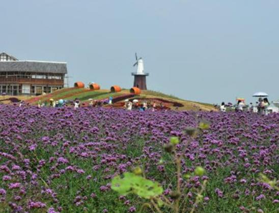 Т�������ĵط�����������f�@�����Ϻ����B�ȼم^���e�����m