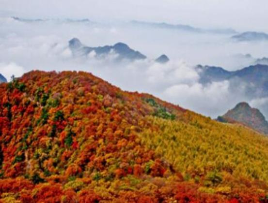 運城最好玩的地方排行榜,永樂宮游玩方便、解州關(guān)帝廟值得參觀 運城最好玩的地方排行榜,永樂宮游玩方便、解州關(guān)帝廟值得參觀