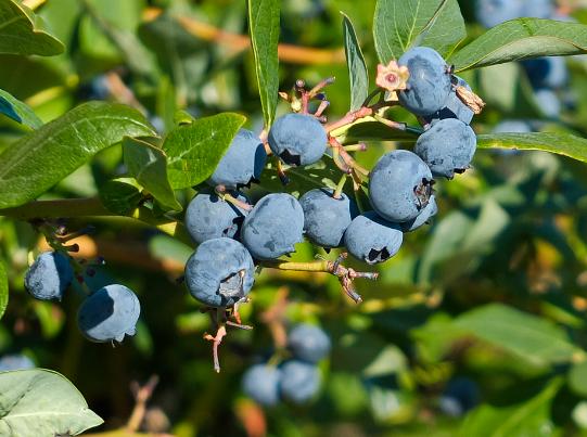 ���������ĵط���ɏ��ɽ�vʷ�Ļ����N�����������ɽ�L���^׌����