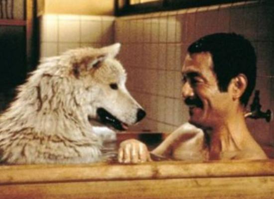 ʮ���ձ��u��9���ϵ��Ӱ��ǧ�cǧ�����|�����Z���ǽ�(j��ng)��֮��