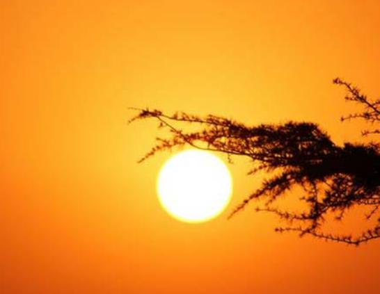 ȫ��ʮ��ð�U�Ӱ���а���Ҋ���ա��ču����������������