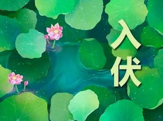 2023年三伏天有加強伏嗎?2023三伏天曬背是哪幾天 2023年三伏天有加強伏嗎?2023三伏天曬背是哪幾天