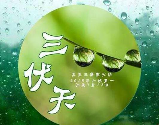 三伏天初伏熱還是末伏熱?三伏天曬背后可以吃西瓜嗎 三伏天初伏熱還是末伏熱?三伏天曬背后可以吃西瓜嗎