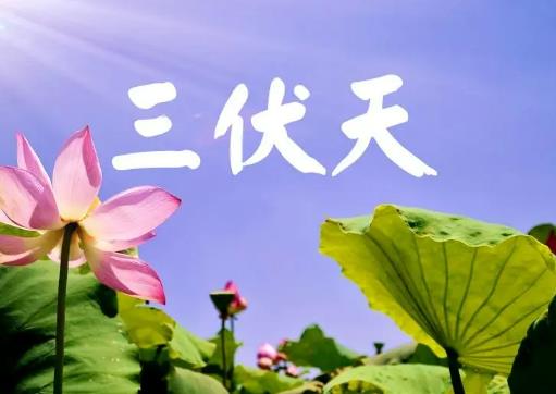 三伏天曬背后可以喝水嗎?三伏天曬背后多久可以吹風扇 三伏天曬背后可以喝水嗎?三伏天曬背后多久可以吹風扇