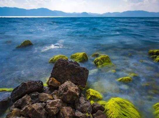 撫仙湖適合幾月份去旅游?撫仙湖真的很邪嗎 撫仙湖適合幾月份去旅游?撫仙湖真的很邪嗎