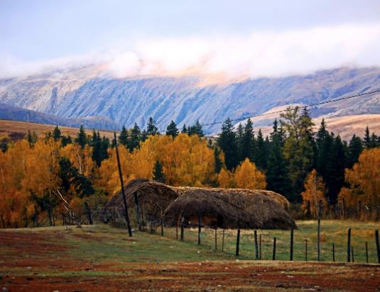 2023���½����·��_ʼ�䣿���½������