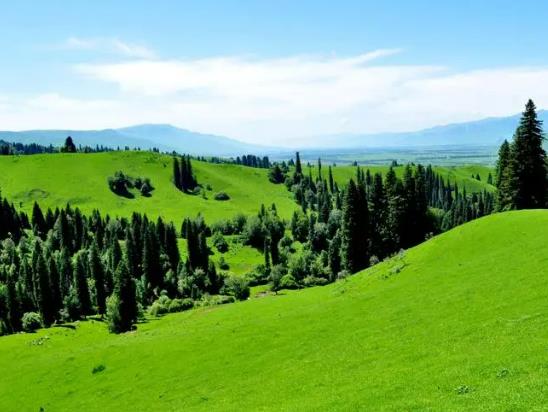 �½����·ݜض��_ʼ�½����½�������ʲô���c