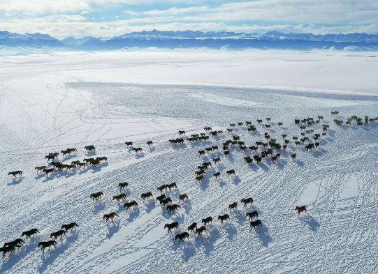 һ����ȥ�½����m���᣿�½��ضȽ���Ҫ�ȵ����·�