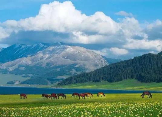 2023�½�����������᣿9�·��½��Ě��һ���ڶ��ٶ�