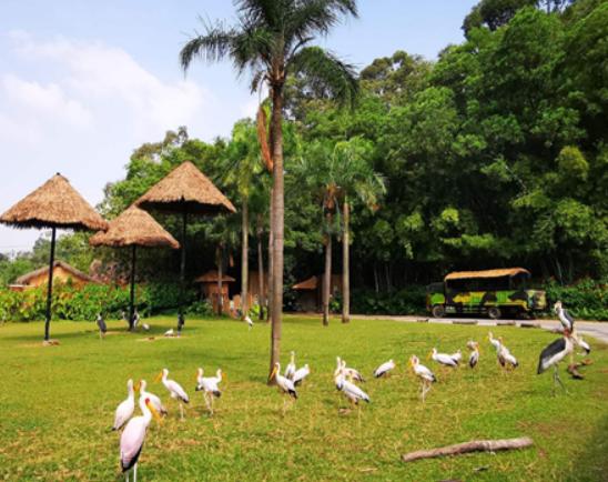 Їʮɭք@VL¡Ұ@dҰ@֪ȸ