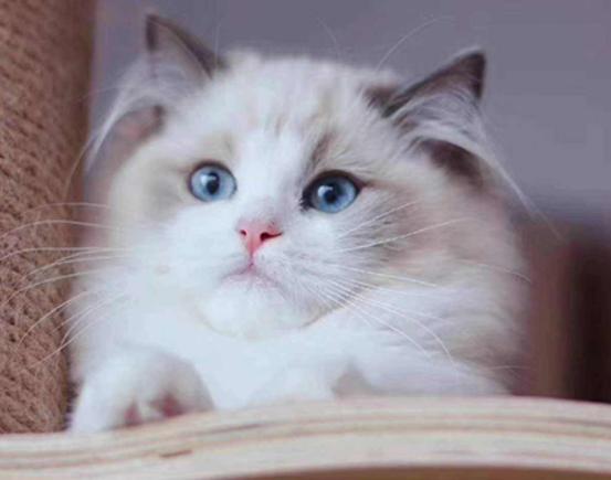 ʮճ˵؈ż؈ԸoKm۶؈ԏ