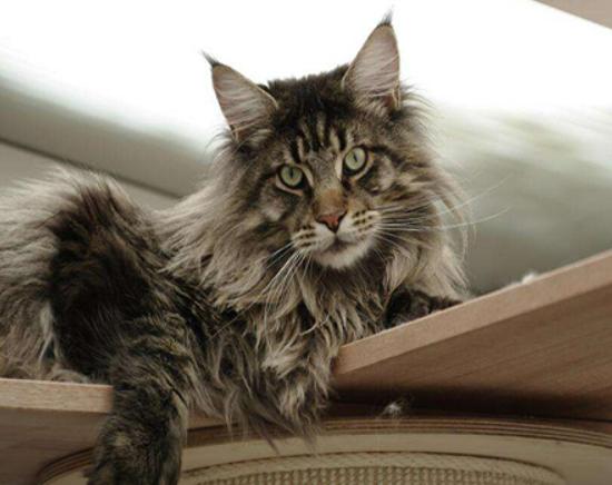 ʮ����ճ�˵�؈��������ż؈�Ը����o���K���m�۶�؈�����ԏ�(qi��ng)