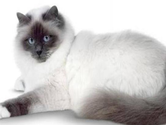 ʮ����ճ�˵�؈��������ż؈�Ը����o���K���m�۶�؈�����ԏ�(qi��ng)