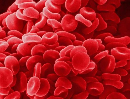 凌晨血糖5.5早起空腹6.0正常嗎?測血糖要不要去掉第一滴血 凌晨血糖5.5早起空腹6.0正常嗎?測血糖要不要去掉第一滴血