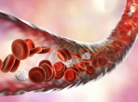 ѪǸ߳ʲôʳãѪǸ^߀Ѫǵ^