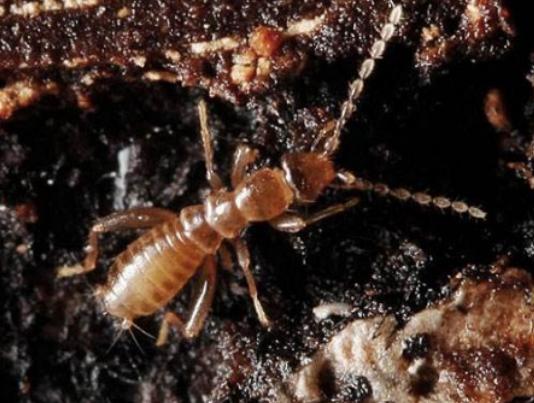 ȫ��ʮ����ϡ���x(ch��ng)���а񣬲�Ϭ�����Ը���ľ�^���ʱ۽��������ɫ