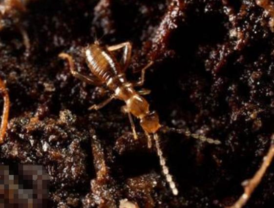 ȫ��ʮ����ϡ���x(ch��ng)���а�����Ϭ�����Ը���ľ�^���ʱ۽��������ɫ