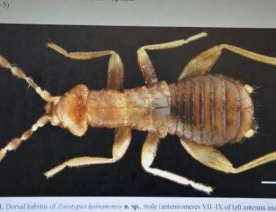 ȫ��ʮ����ϡ���x(ch��ng)���а�����Ϭ�����Ը���ľ�^���ʱ۽��������ɫ