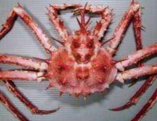 ����ʮ������ֵ��з�����^з�����ԏ�������з�����������ļך�����