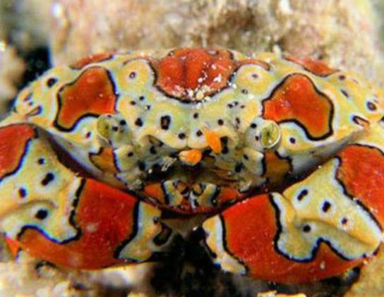 ����ʮ������ֵ��з�����^з�����ԏ�������з�����������ļך�����