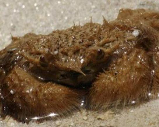 ����ʮ������ֵ��з�����^з�����ԏ�������з�����������ļך�����