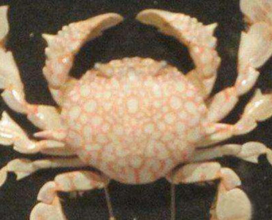 ����ʮ������ֵ��з�����^з�����ԏ�������з�����������ļך�����