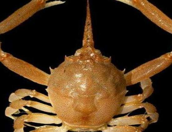 ����ʮ������ֵ��з�����^з�����ԏ�������з�����������ļך�����