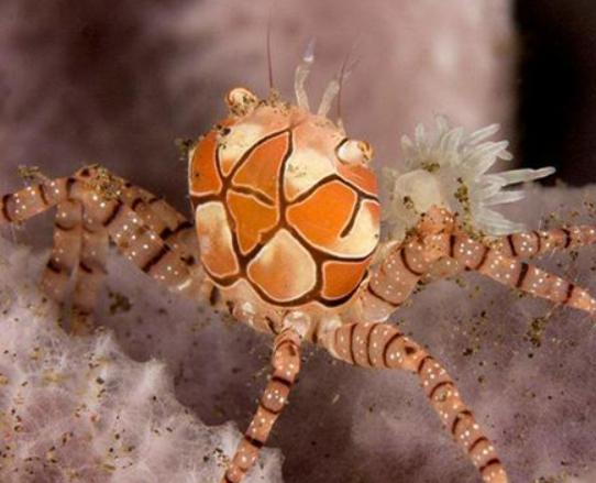 ����ʮ������ֵ��з�����^з�����ԏ�������з�����������ļך�����