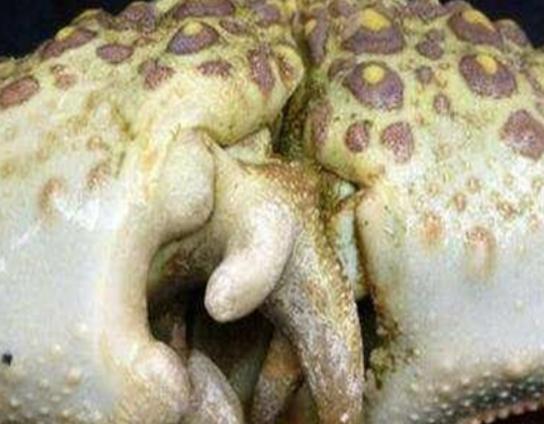 ����ʮ������ֵ��з�����^з�����ԏ�������з�����������ļך�����