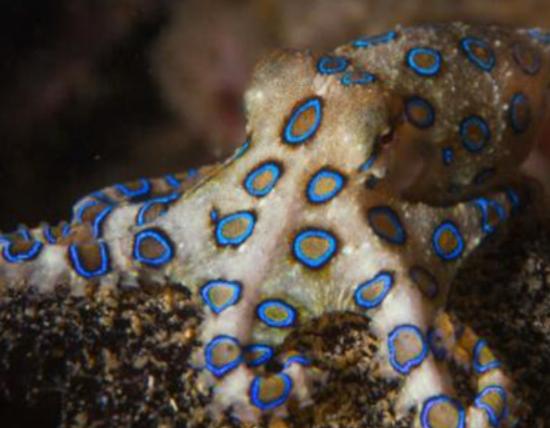 ����ʮ�������������޷�ˮĸ���κܺÿ����{�h���~�׷�犾�Ҫ����