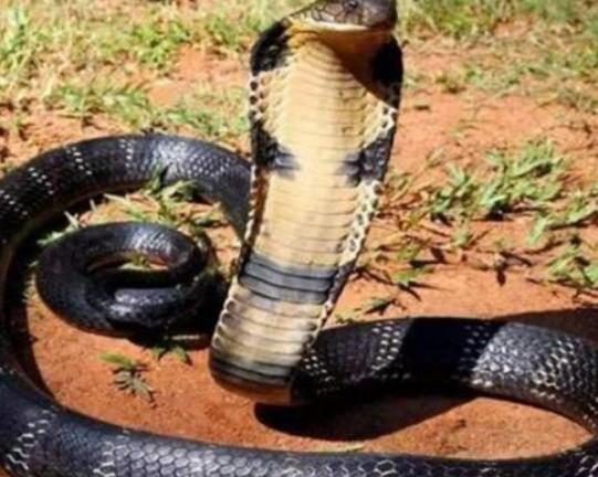 ����ʮ�������������޷�ˮĸ���κܺÿ����{�h���~�׷�犾�Ҫ����