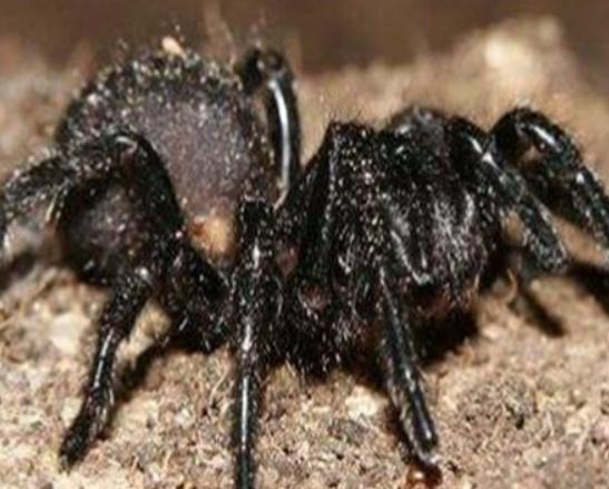 ����ʮ�������������޷�ˮĸ���κܺÿ����{�h���~�׷�犾�Ҫ����