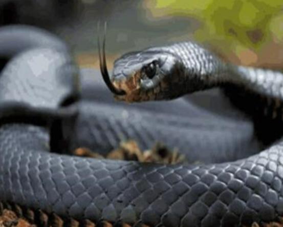 ����ʮ�������������޷�ˮĸ���κܺÿ����{�h���~�׷�犾�Ҫ����