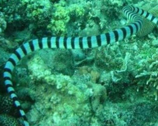 ����ʮ�������������޷�ˮĸ���κܺÿ����{�h���~�׷�犾�Ҫ����